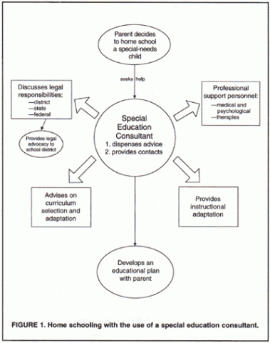 Homeschooling with a consultant web chart illustration